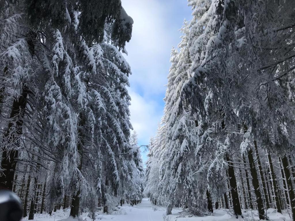 Ferienwohnung Wolkenplatz Winterberg Kültér fotó