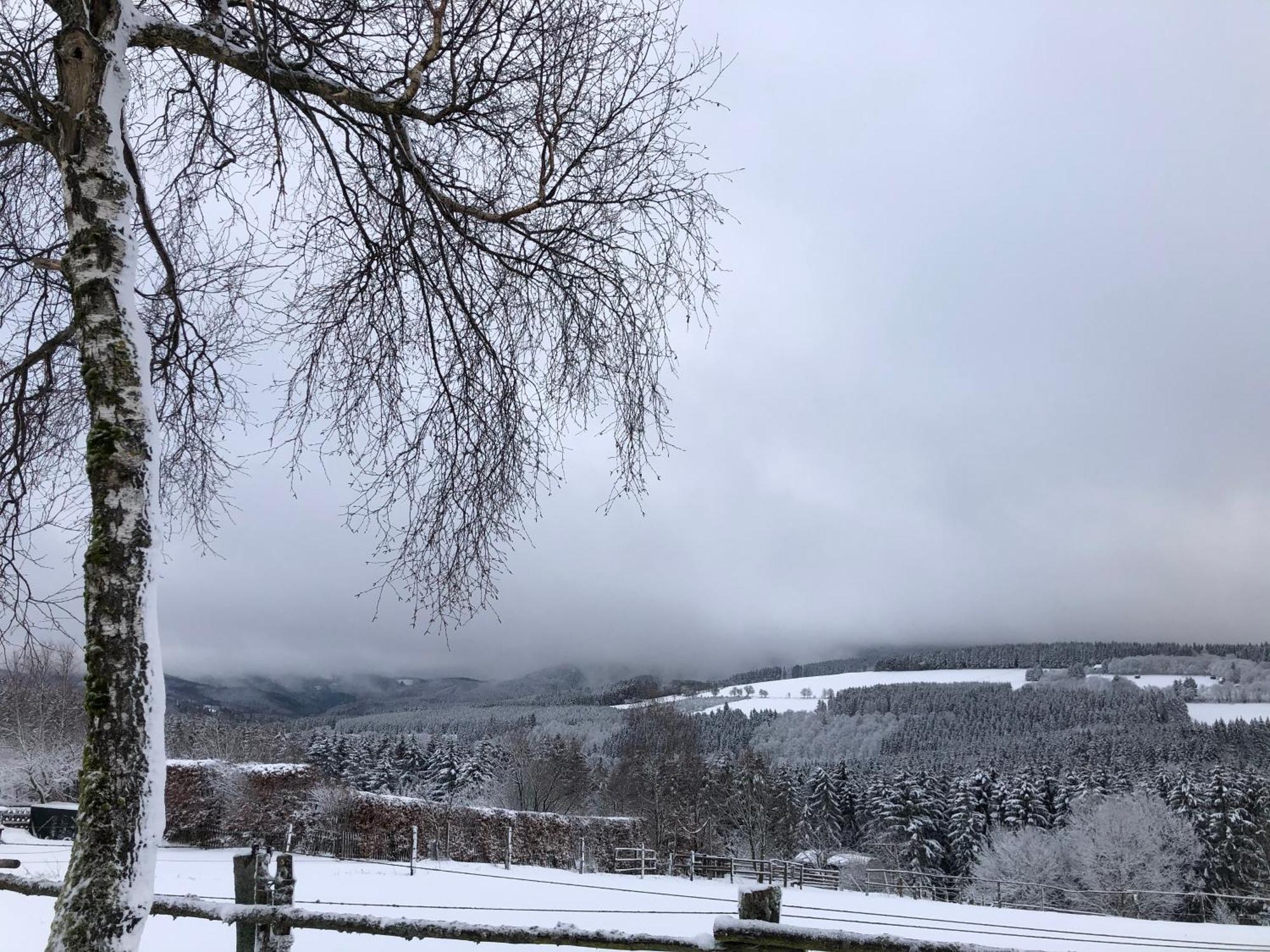 Ferienwohnung Wolkenplatz Winterberg Kültér fotó