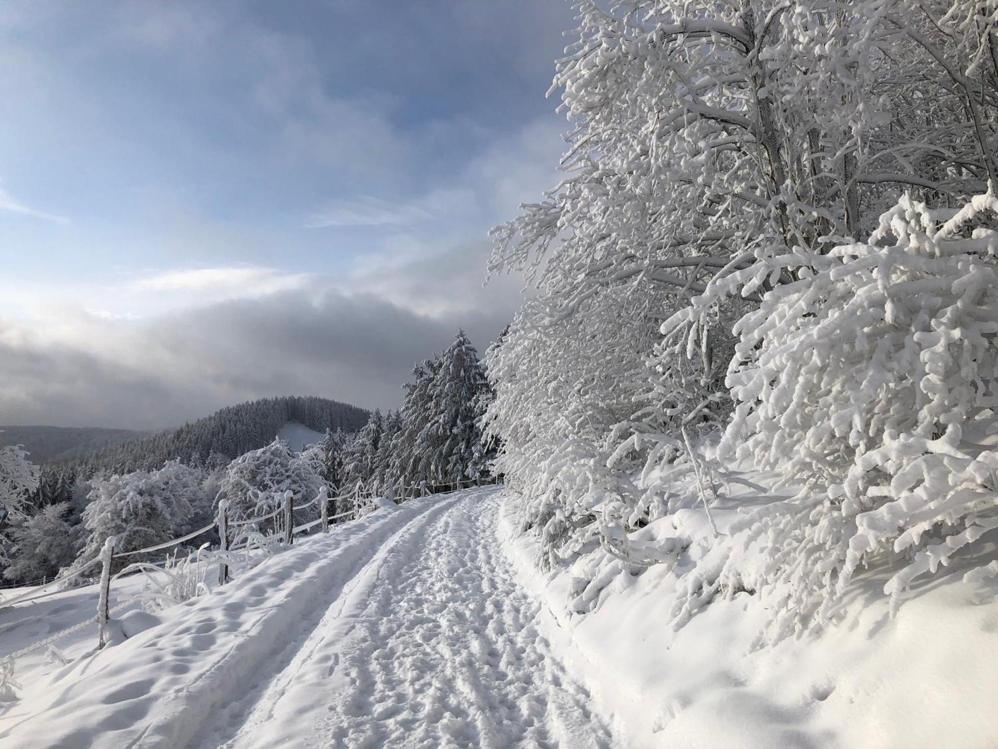 Ferienwohnung Wolkenplatz Winterberg Kültér fotó